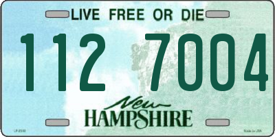NH license plate 1127004