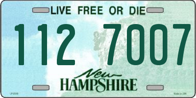 NH license plate 1127007