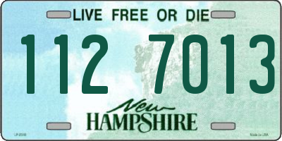 NH license plate 1127013