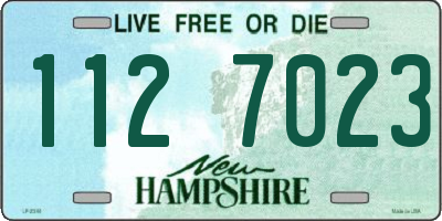 NH license plate 1127023