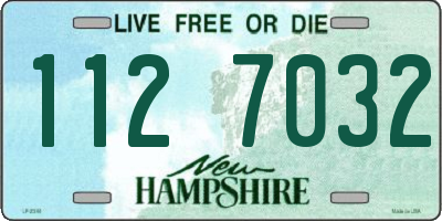 NH license plate 1127032