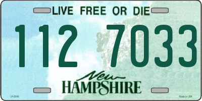 NH license plate 1127033