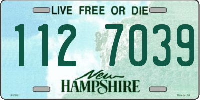 NH license plate 1127039
