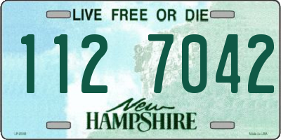 NH license plate 1127042