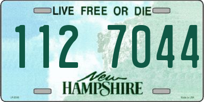 NH license plate 1127044