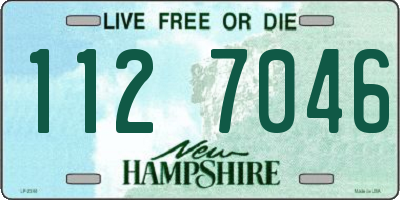 NH license plate 1127046
