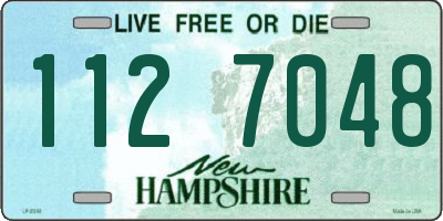 NH license plate 1127048