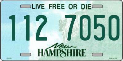 NH license plate 1127050