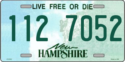 NH license plate 1127052