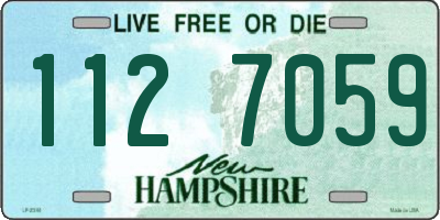 NH license plate 1127059