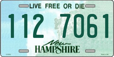 NH license plate 1127061