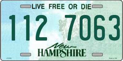 NH license plate 1127063