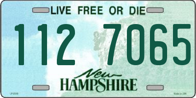 NH license plate 1127065