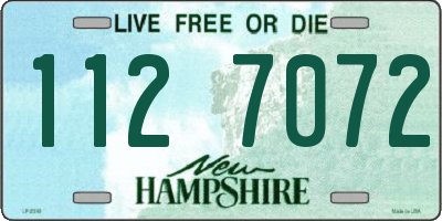 NH license plate 1127072