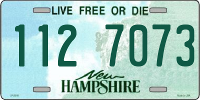 NH license plate 1127073