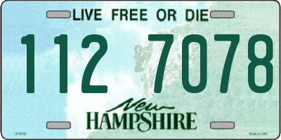NH license plate 1127078