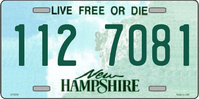 NH license plate 1127081