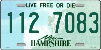 NH license plate 1127083