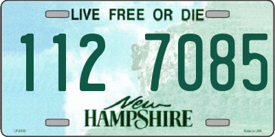 NH license plate 1127085