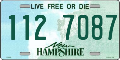 NH license plate 1127087