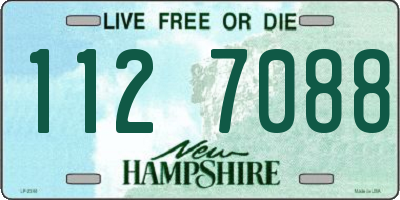 NH license plate 1127088