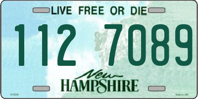 NH license plate 1127089