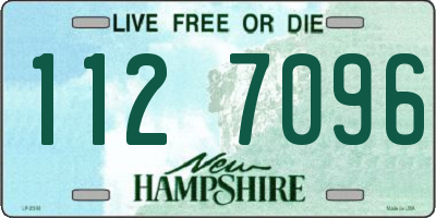 NH license plate 1127096