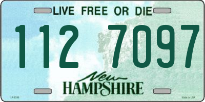 NH license plate 1127097