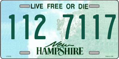 NH license plate 1127117