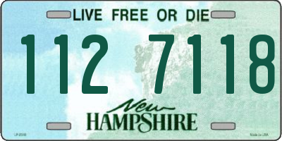 NH license plate 1127118