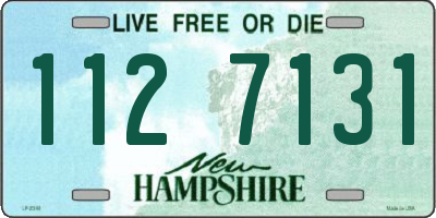 NH license plate 1127131