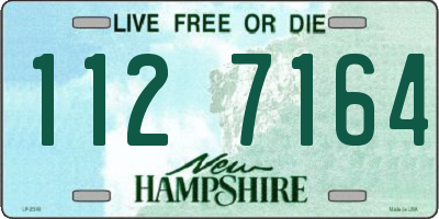 NH license plate 1127164