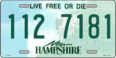 NH license plate 1127181