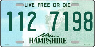 NH license plate 1127198