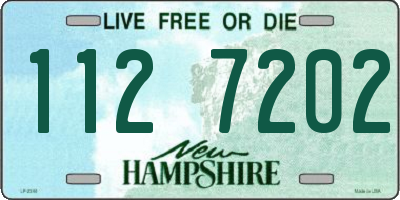 NH license plate 1127202