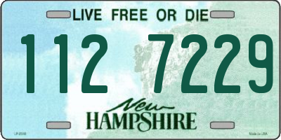 NH license plate 1127229