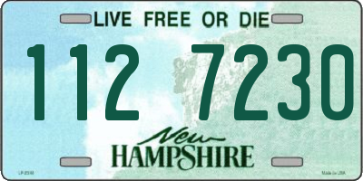 NH license plate 1127230