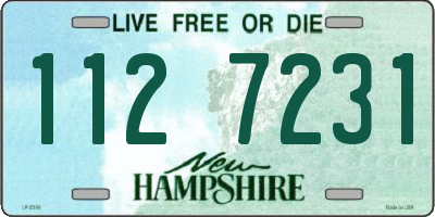 NH license plate 1127231