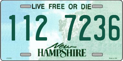 NH license plate 1127236