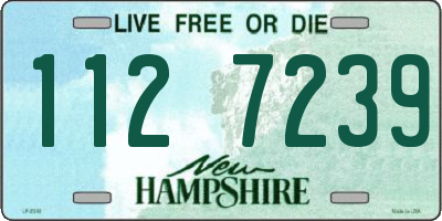 NH license plate 1127239