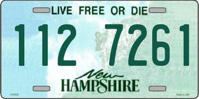 NH license plate 1127261