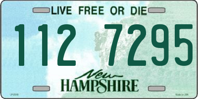 NH license plate 1127295