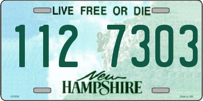 NH license plate 1127303
