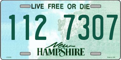 NH license plate 1127307
