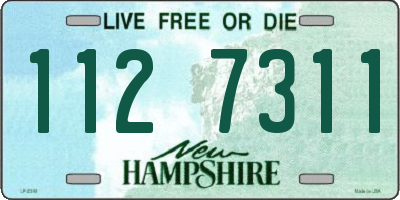 NH license plate 1127311