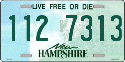 NH license plate 1127313