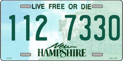 NH license plate 1127330