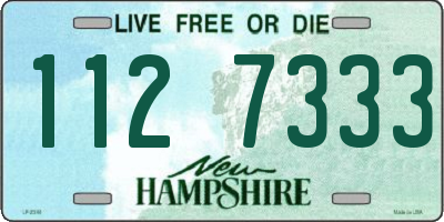 NH license plate 1127333