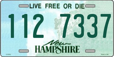 NH license plate 1127337