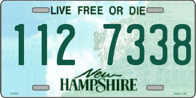 NH license plate 1127338